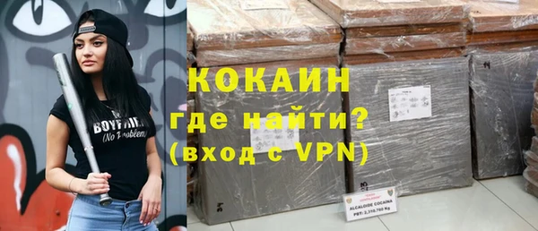 ГАЛЛЮЦИНОГЕННЫЕ ГРИБЫ Осинники