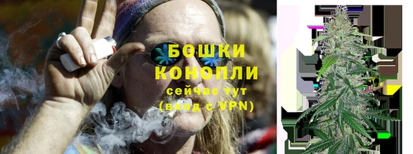 ГАЛЛЮЦИНОГЕННЫЕ ГРИБЫ Осинники