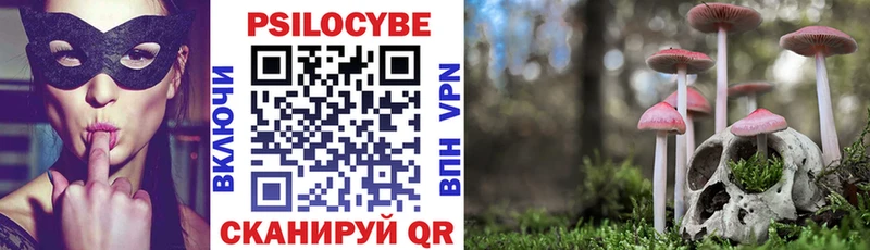 Псилоцибиновые грибы GOLDEN TEACHER  Курск 
