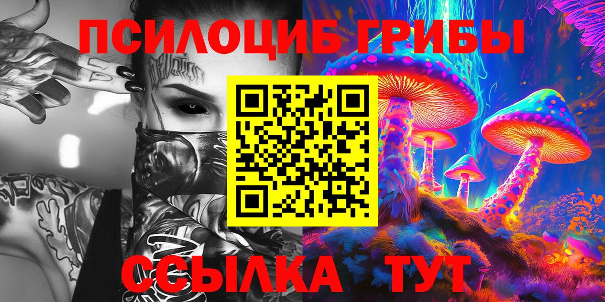 Псилоцибиновые грибы Cubensis Курск